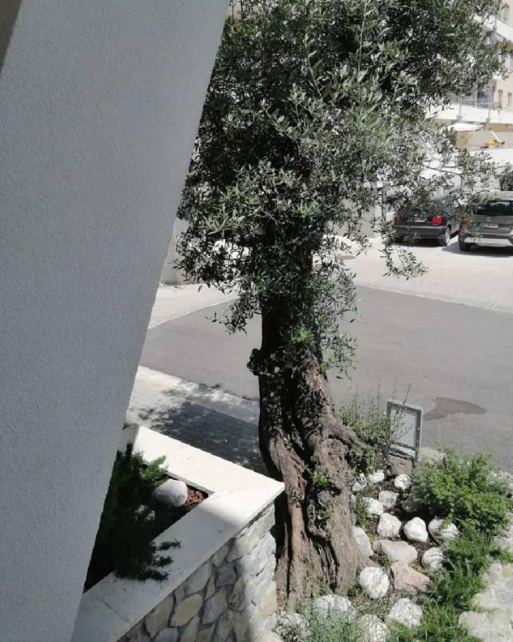 Apartment Mondi Azzurri *